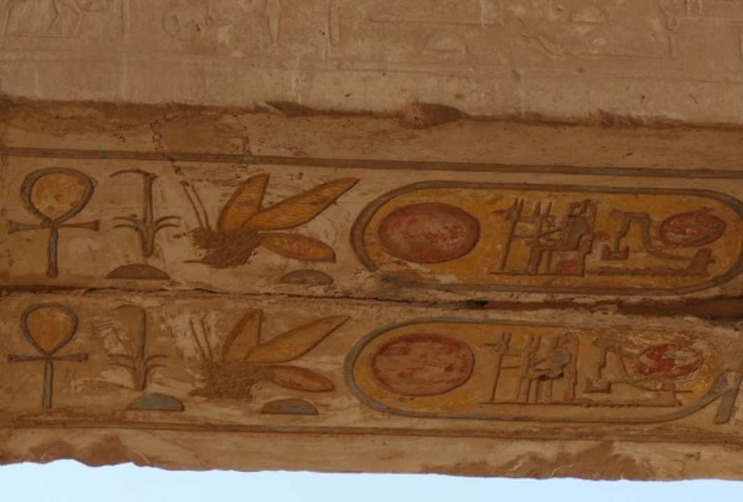 Пчёла из Храмового комплекса в Карнаке на территории древнего города Фивы