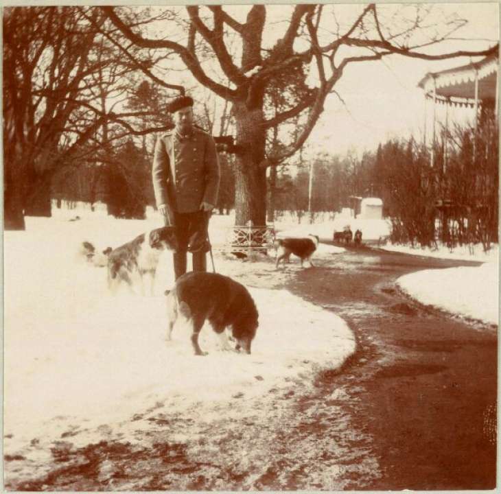 Император Николай II на прогулке с собаками