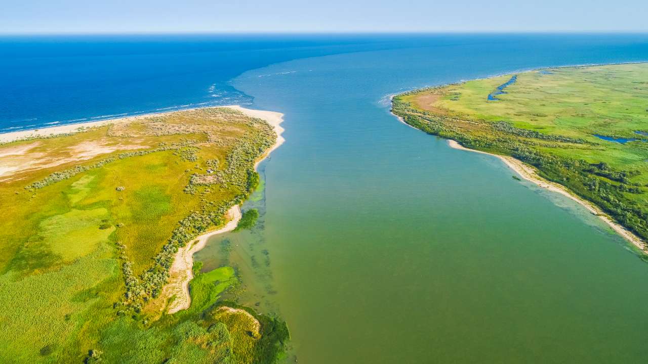 Дунай впадает в Черное море. Фото: Dragos Asaftei/Shutterstock.com 