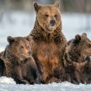 Фото: Sergey Uryadnikov/Shutterstock.com