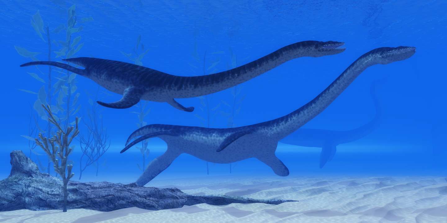 Плезиозавры Фото: Catmando/Shutterstock.com