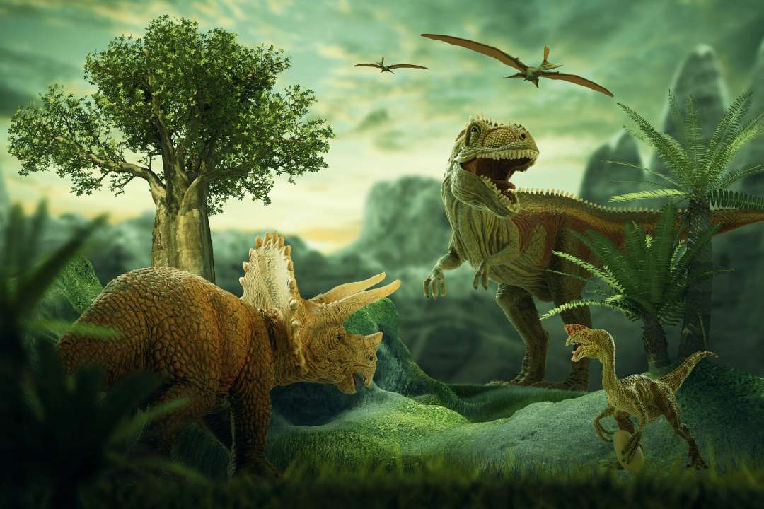 Трицератопс и тираннозавр  Фото: metha1819/Shutterstock.com