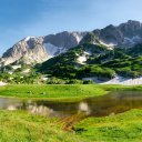 Фото: Artyem_Kharchenko/Shutterstock