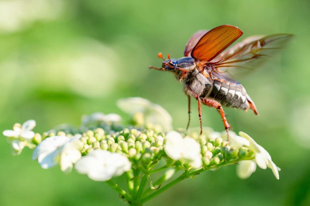 Фото: Ihor Hvozdetskyi/Shutterstock