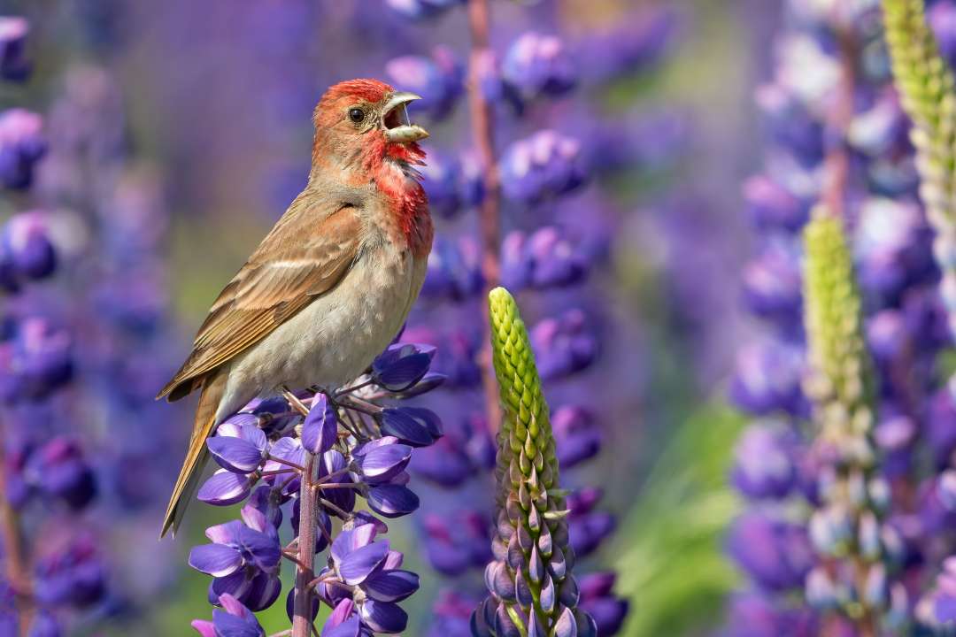 Фото: Freepik