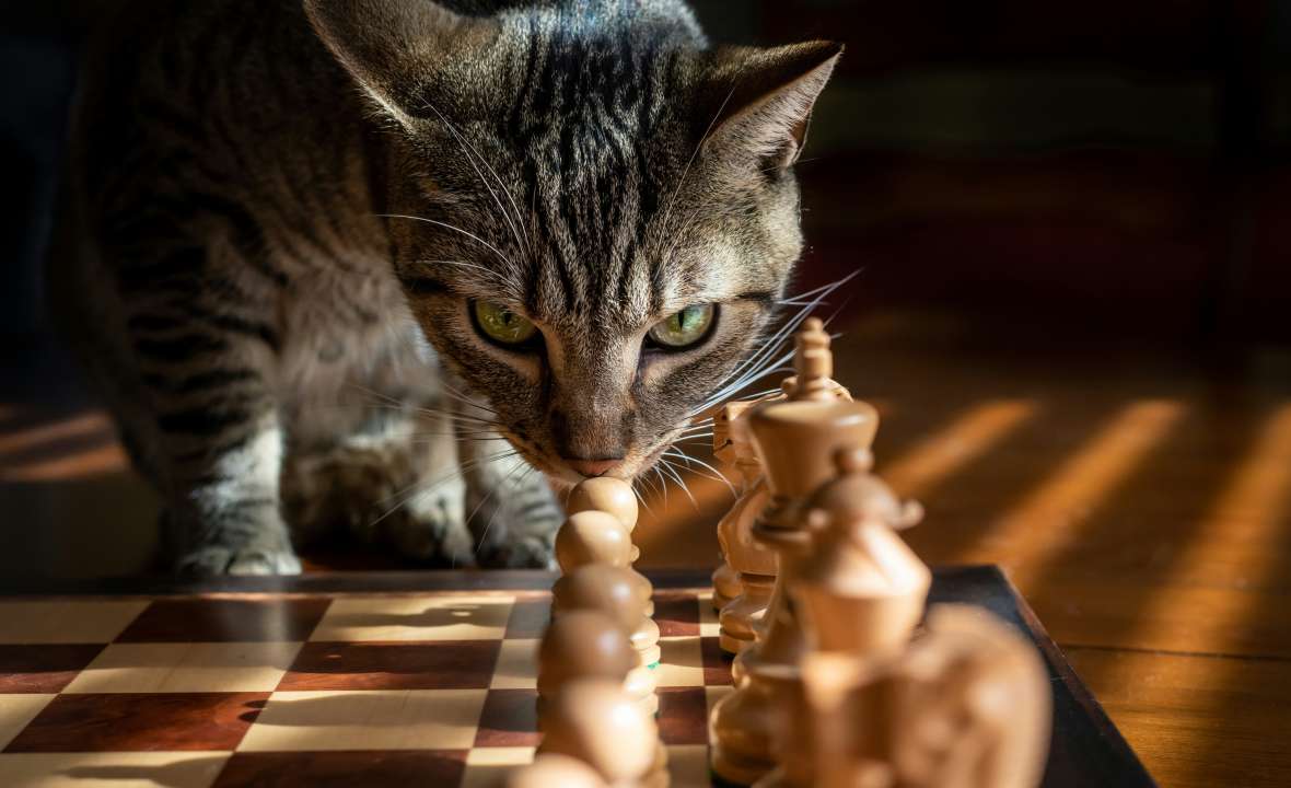 Фото: Rick Brown/Unsplash