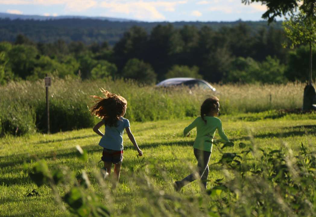 Фото: Steve Lieman/Unsplash