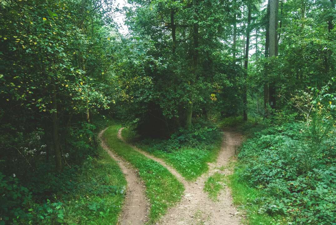 Фото: Jens Lelie/Unsplash