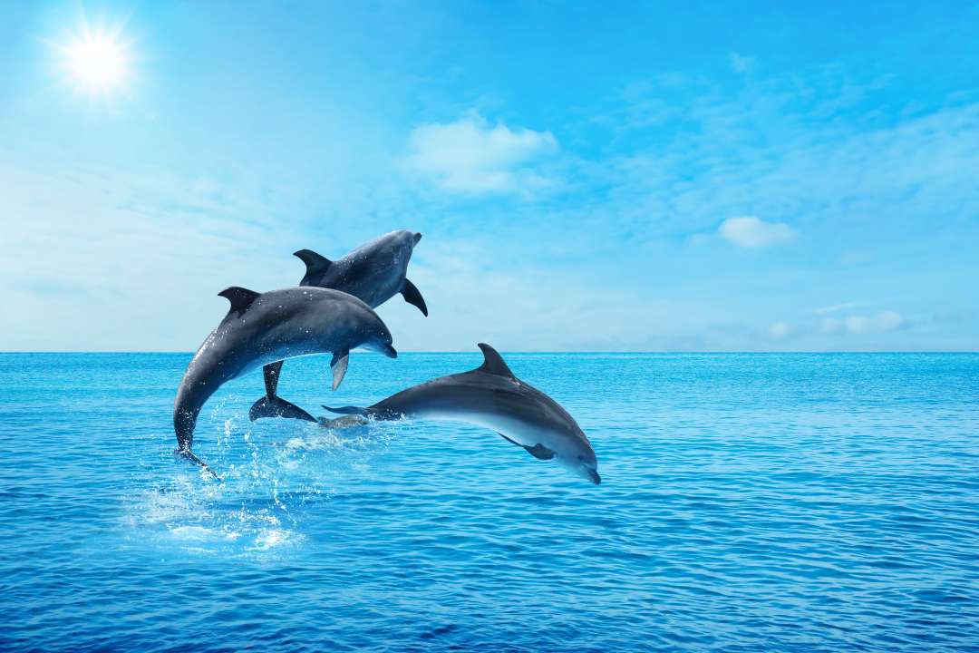 Фото: New Africa/Shutterstock