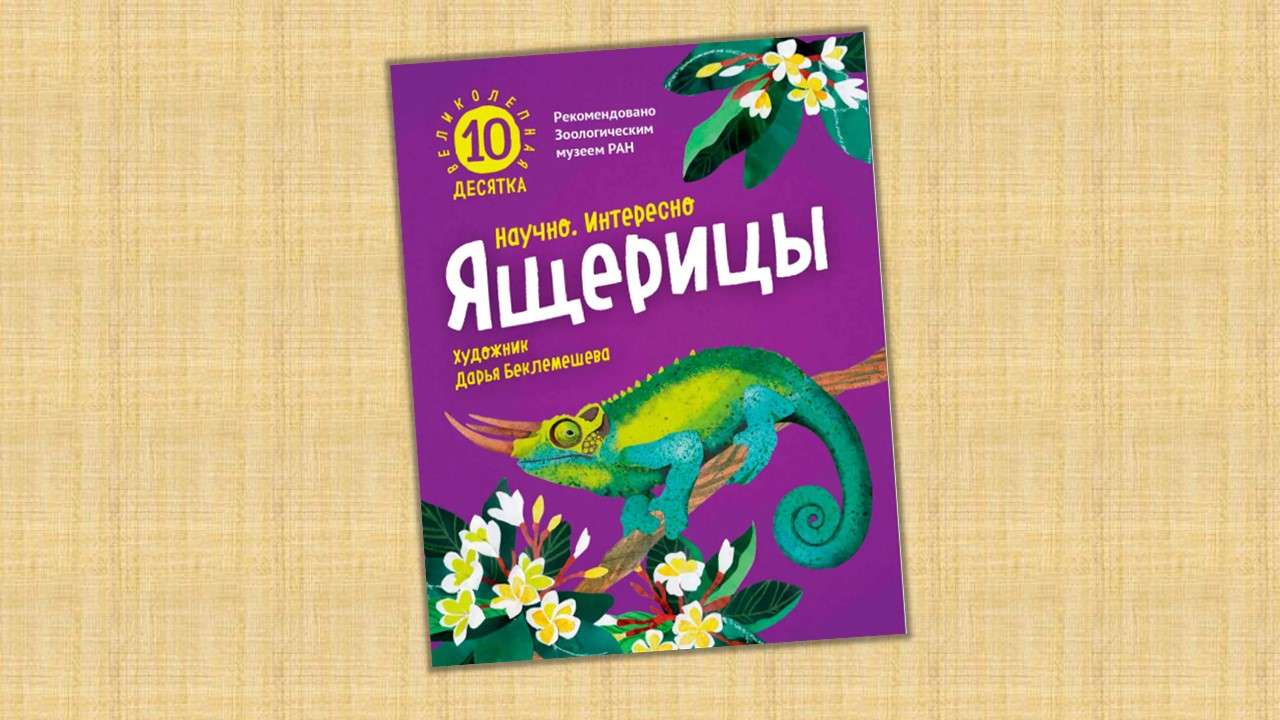 6+, "Архипелаг"
