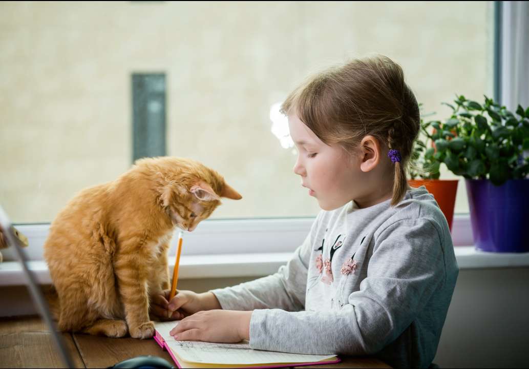 Фото: Sharomka/Shutterstock