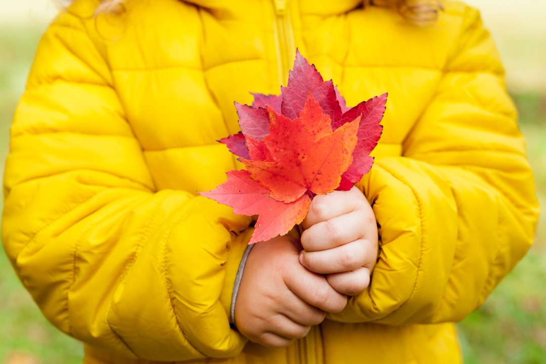 Фото: Tatiana Gordievskaia/Shutterstock