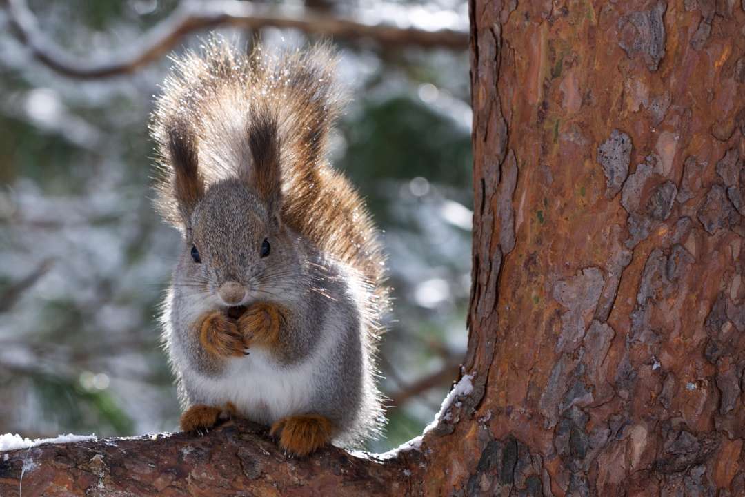 Фото: Nata Naumovec/Shutterstock Фото: Nata Naumovec/Shutterstock