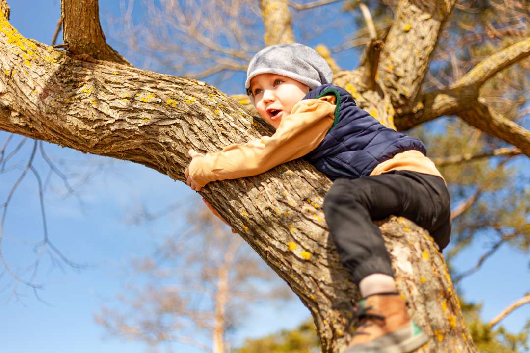 Фото: Dzmitry Sarmont/Shutterstock Фото: Dzmitry Sarmont/Shutterstock