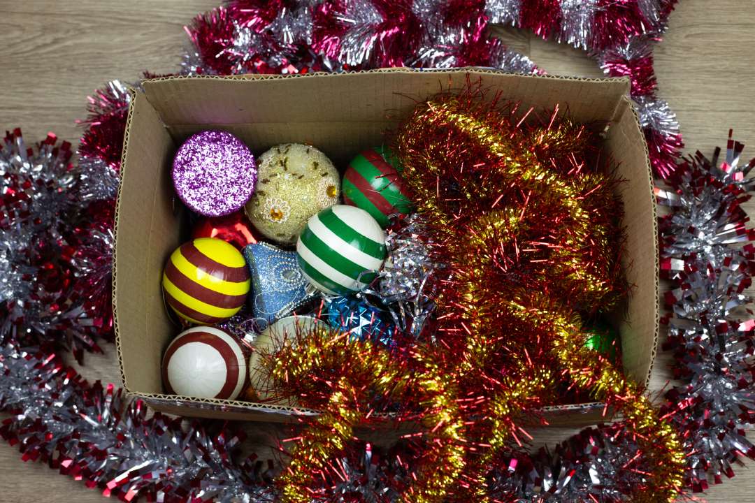 Фото: Timur Malazoniia/Shutterstock