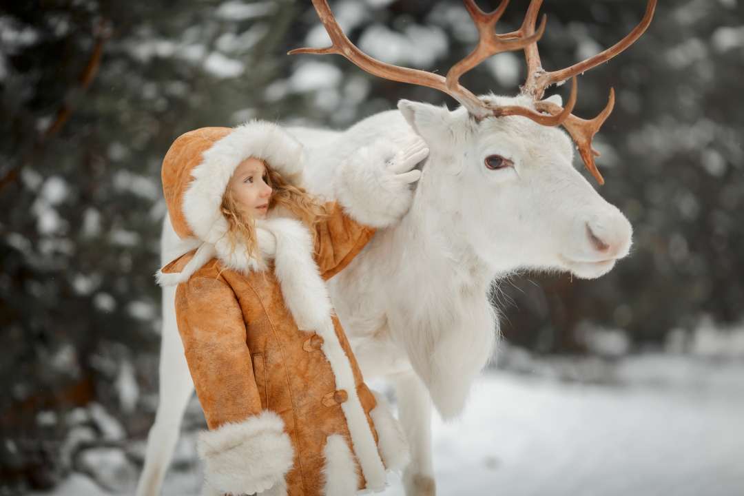 Фото: Julia Shepeleva/Shutterstock