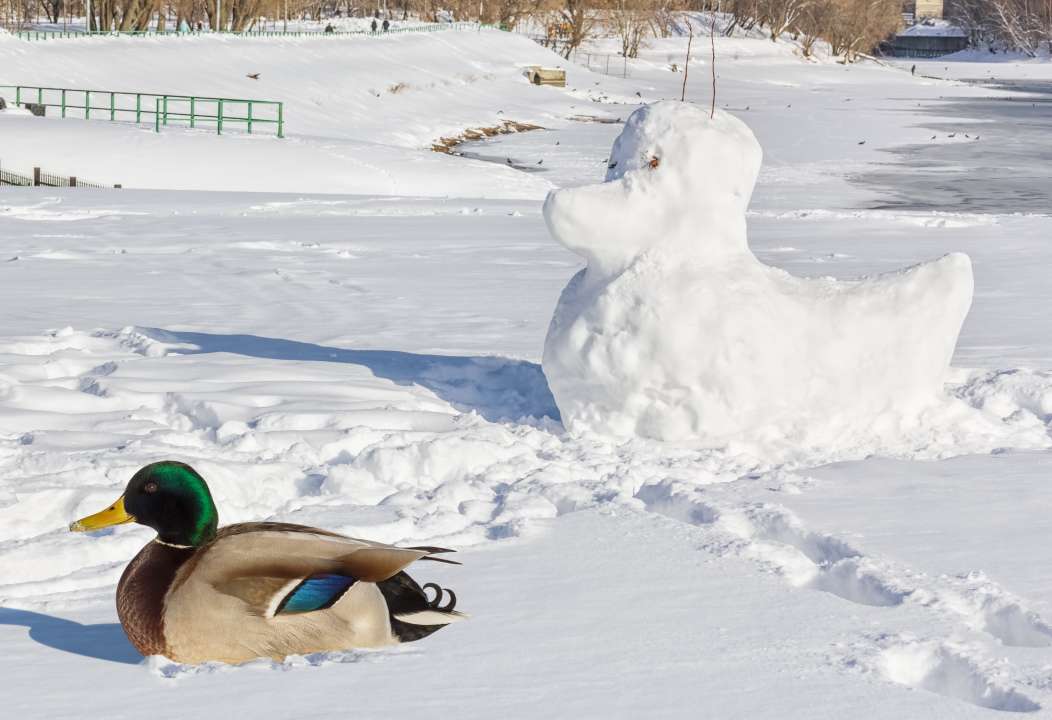 Фото: HaiGala/Shutterstock.com