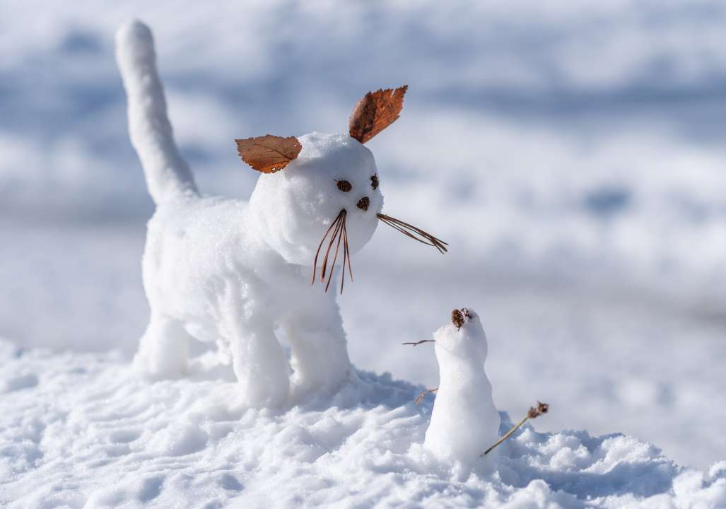 Фото:  Rick4you/Shutterstock.com