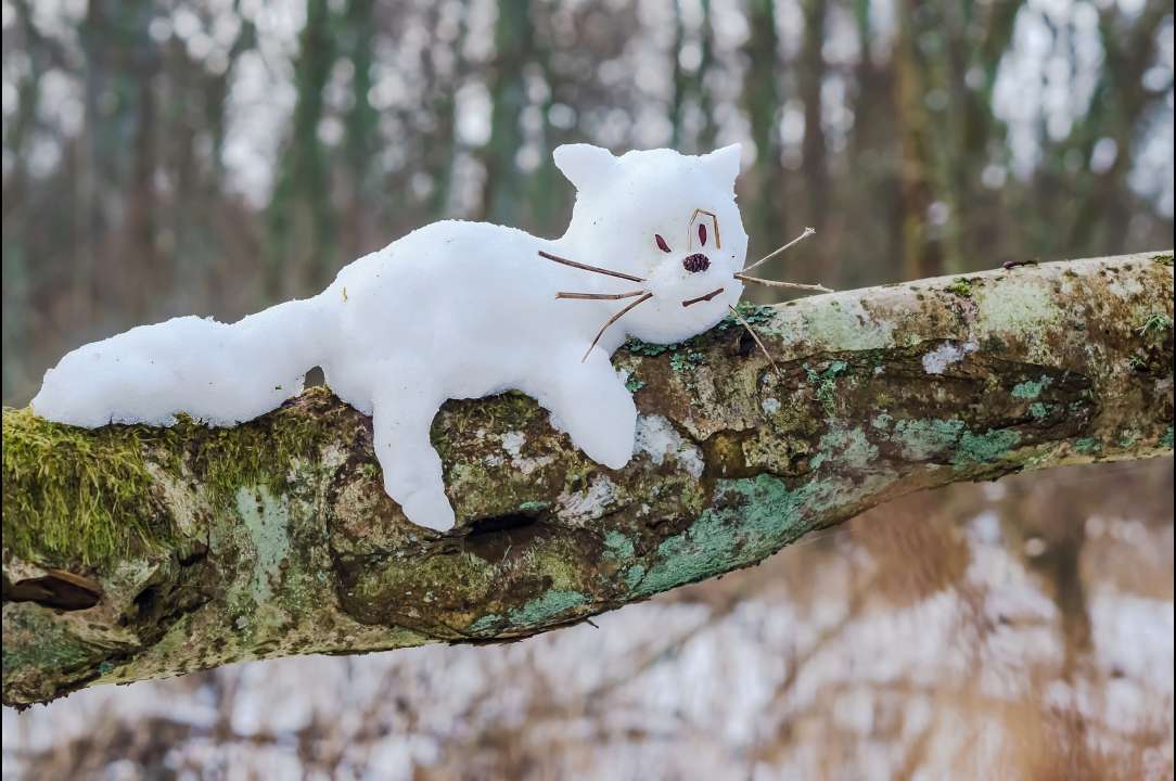 Фото:  SeagullNady/Shutterstock.com