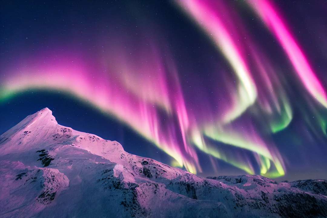 Фото: Abstract51/Shutterstock