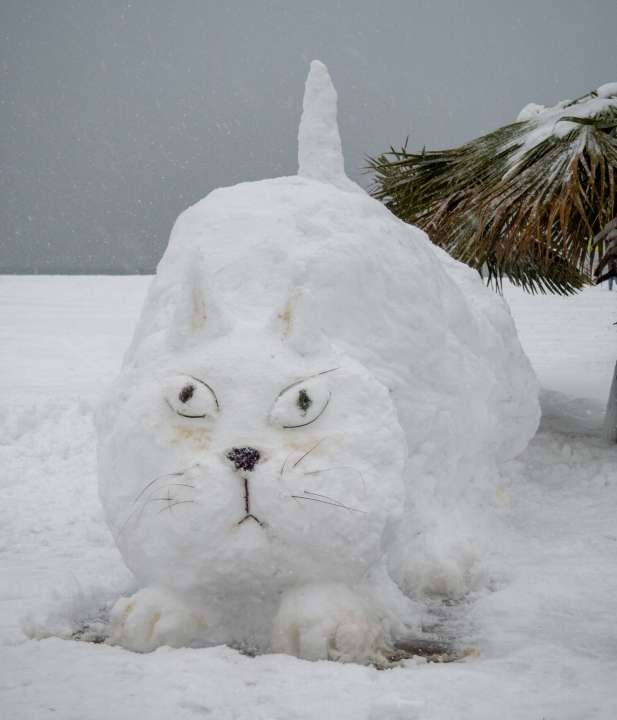 Фото:  Aleksandr Puludi/Shutterstock.com