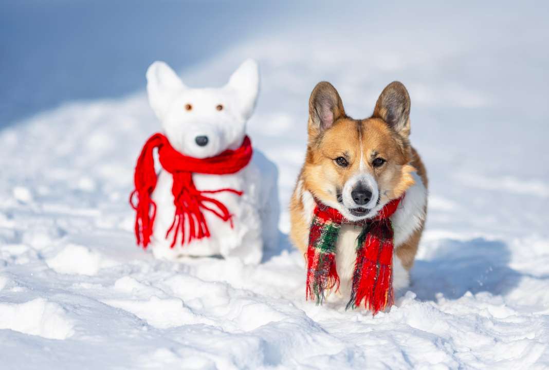 Фото:  Bachkova Natalia/Shutterstock.com