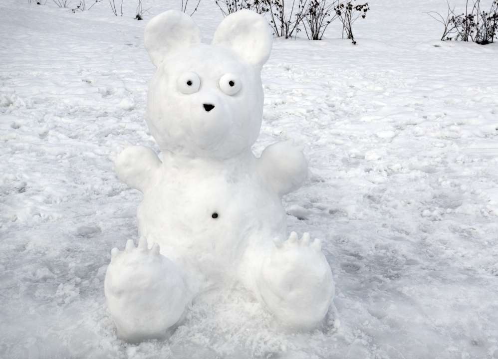 Фото: Hanna Alandi/Shutterstock.com