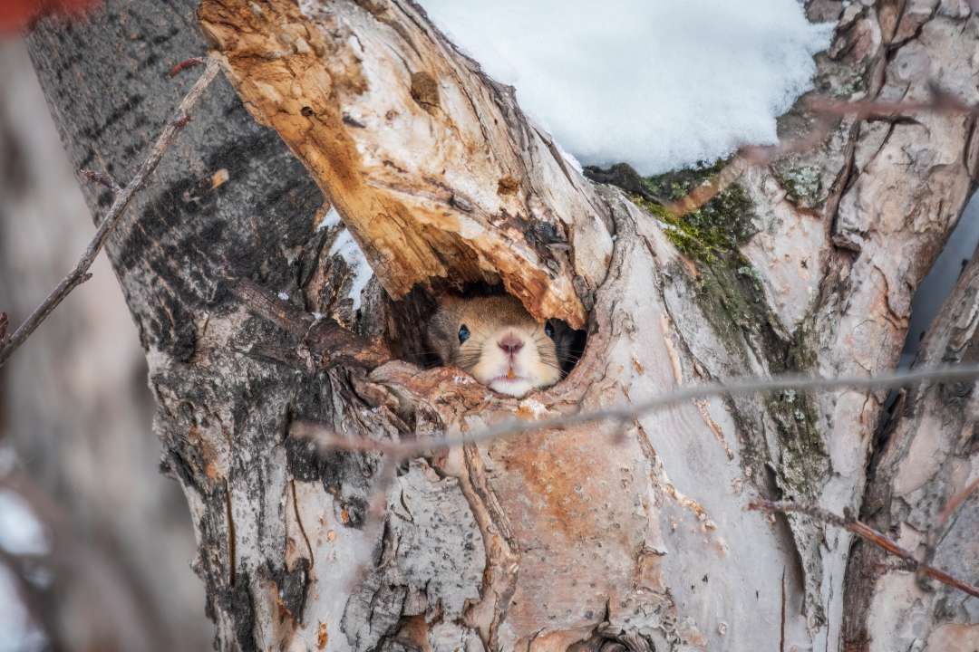 Фото:  Dark_Side/Shutterstock.com