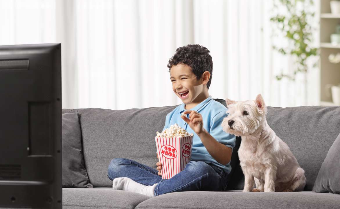 Фото: Ljupco Smokovski/Shutterstock.com Фото: Ljupco Smokovski/Shutterstock.com