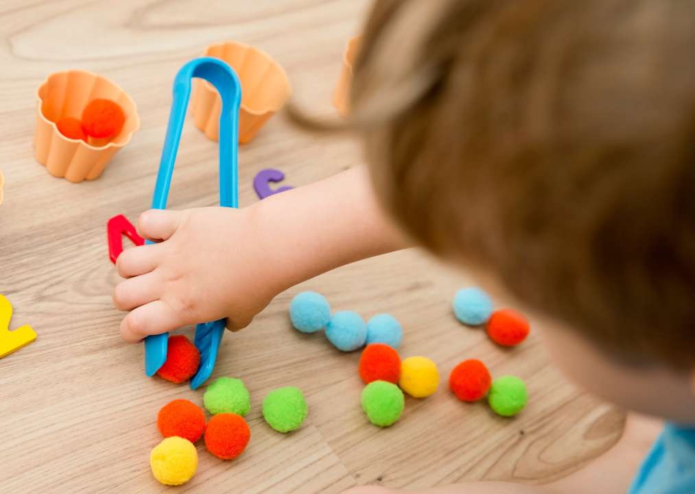 Фото: Studio.G photography/Shutterstock.com